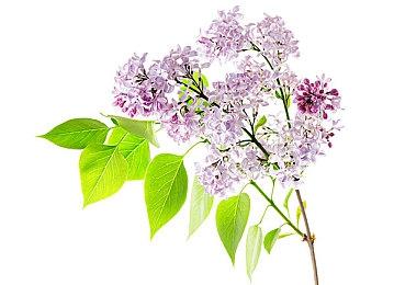 《星空》“内容过多” B社可能砍掉一些才能按时发售